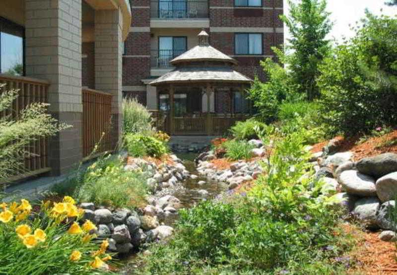 Courtyard Minneapolis St. Paul/Розвилл Экстерьер фото